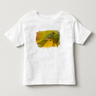 T-shirt Pour Les Tous Petits Grenouille léopard sur des fleurs dans notre jardi