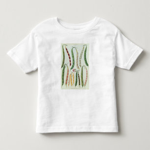 T-shirt Pour Les Tous Petits Haricots