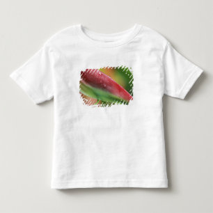 T-shirt Pour Les Tous Petits Héliconia Flamingo Rose (Heliconia chartacea), Hil