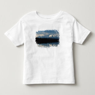 T-shirt Pour Les Tous Petits Horizon de lac mirror avec la forêt et les