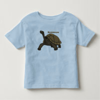 Illustration de tortue terrestre des Galapagos