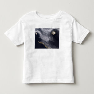 T-shirt Pour Les Tous Petits Image satellite d'île de Semisopochnoi