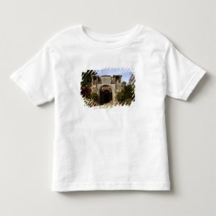 T-shirt Pour Les Tous Petits Irlande, le jardin clos du château de Dromoland
