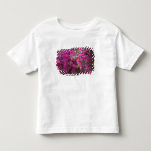 T-shirt Pour Les Tous Petits Italie, Sicile, Cefalu, Cour intérieure fleurie pa