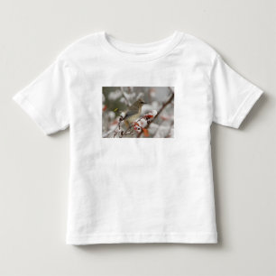 T-shirt Pour Les Tous Petits Jaseur d'Amérique adulte sur un aubépine avec de l