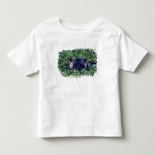 T-shirt Pour Les Tous Petits Kenya, réserve nationale du Masai Mara.