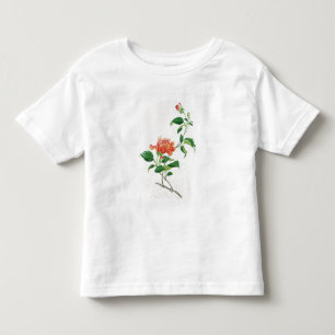 T-shirt Pour Les Tous Petits Ketmie