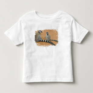 T-shirt Pour Les Tous Petits Lémuriens à queue annelée, (Lemur catta), Berenty