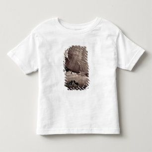 T-shirt Pour Les Tous Petits Les ruines antiques du Canyon de Chelle, 1873 (a