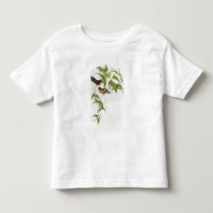 T-shirt Pour Les Tous Petits Leucippus Fallax