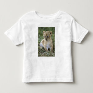 T-shirt Pour Les Tous Petits lion d'Afrique, Panthera leo), Tanzanie,