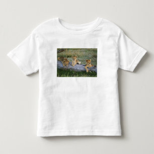 T-shirt Pour Les Tous Petits Lionceaux sur une bûche