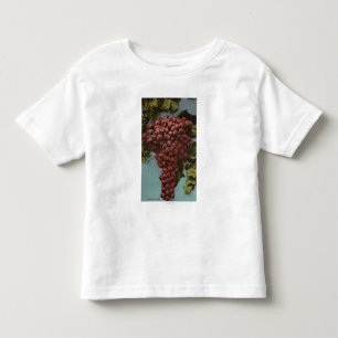 T-shirt Pour Les Tous Petits Lithographie de Chromo de fruit des raisins de la
