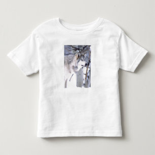 T-shirt Pour Les Tous Petits Loup Gris, Canis lupus, Animal de Film Utah)