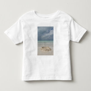 T-shirt Pour Les Tous Petits Mexique, Yucatan, Isla Mujeres Île de