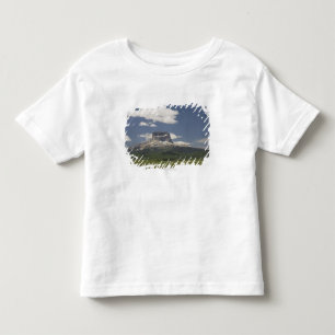 T-shirt Pour Les Tous Petits Montagne en chef avec des pâturages de frôler de