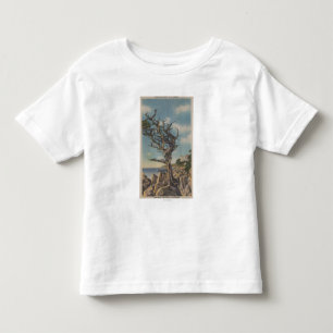 T-shirt Pour Les Tous Petits Monterey, CA - vieil arbre de sorcière sur 17