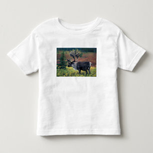 T-shirt Pour Les Tous Petits NA, États-Unis, Alaska, Parc national Denali, Cari