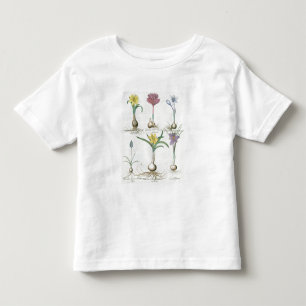 T-shirt Pour Les Tous Petits Narcisses, crocus et jacinthe : autum 1.Narcissus