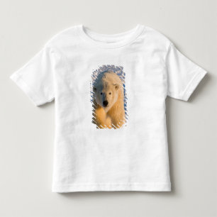 T-shirt Pour Les Tous Petits ours polaire, Ursus maritimus, ours polaire sur gl