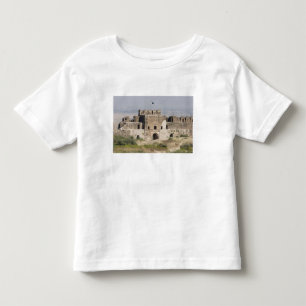 T-shirt Pour Les Tous Petits Pakistan, Dina. Porte de Talaqi vue depuis l'