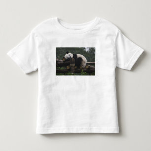 T-shirt Pour Les Tous Petits Pandas géants au centre de protection des pandas g