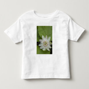 T-shirt Pour Les Tous Petits Passiflore de Galapagos Passiflora foetida