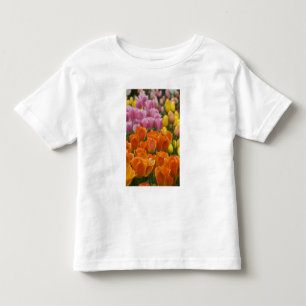 T-shirt Pour Les Tous Petits Pays-Bas aka Hollande), Lisse. Keukenhof 4