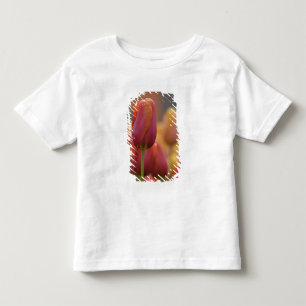 T-shirt Pour Les Tous Petits Pays-Bas aka Hollande), Lisse. Keukenhof 6