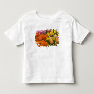 T-shirt Pour Les Tous Petits Pays-Bas aka Hollande), Lisse. Keukenhof 9