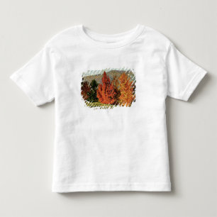 T-shirt Pour Les Tous Petits Paysage d'automne, c.1903 (huile sur la toile)