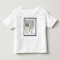 Plantes de poivre de piments, du 'Hortus