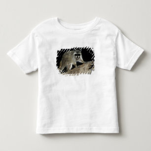 T-shirt Pour Les Tous Petits Raton laveur commun, Procyon lotor