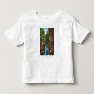 T-shirt Pour Les Tous Petits Regard en bas de l'abîme d'Ausable de la caverne