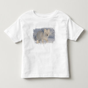 T-shirt Pour Les Tous Petits Renard Arctique, Alaska