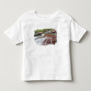 T-shirt Pour Les Tous Petits Rocher rouge dans Baring Creek dans Glacier Nation