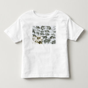 T-shirt Pour Les Tous Petits Rodentia-Rongeurs ou animaux de rongement