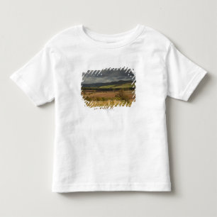 T-shirt Pour Les Tous Petits Rolling Hills et montagnes sous un ciel nuageux