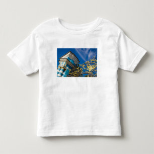 T-shirt Pour Les Tous Petits Russie, Pouchkine. Détail de la porte et tour de s