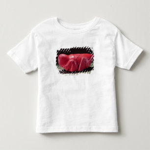 T-shirt Pour Les Tous Petits Sauterelle de Chapultepec, Mexique, c.1500 (cairn