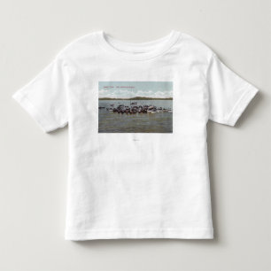 T-shirt Pour Les Tous Petits Scène de régate du Lac Washington