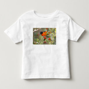 T-shirt Pour Les Tous Petits South Padre Island, Texas, États-Unis, Oriole de B