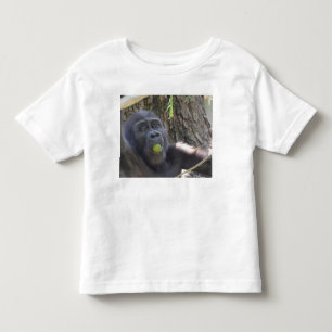 T-shirt Pour Les Tous Petits Tee - shirt de gorille de bébé
