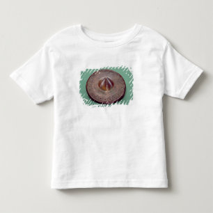 T-shirt Pour Les Tous Petits Tête incisée de goupille, d'Irlande, c.700 AVANT