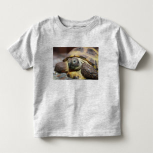 T-shirt Pour Les Tous Petits Tibbs