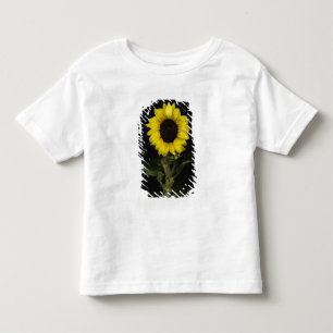 T-shirt Pour Les Tous Petits Tournesol 11