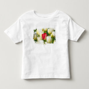 T-shirt Pour Les Tous Petits Tulipe rouge dans un domaine des tulipes blanches