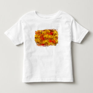T-shirt Pour Les Tous Petits Tulipes dans les jardins de Keukenhof, Amsterdam,