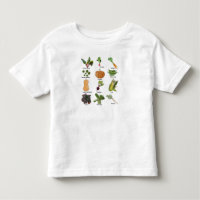 Types de légumes Légumes d'automne