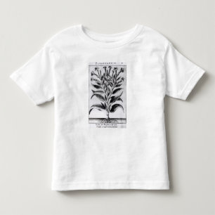 T-shirt Pour Les Tous Petits Une plante de tabac, 1622